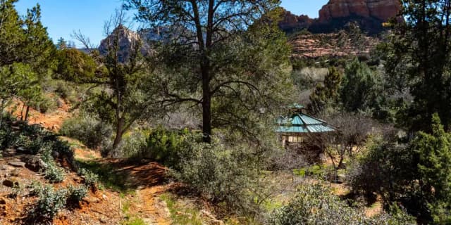 Coffee offers for today 1