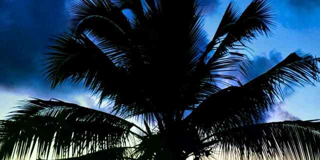 Voucher test 16 offer 4