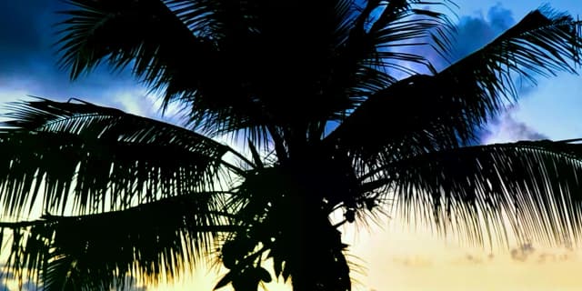 Event test 23 event 1